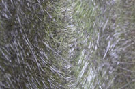 Cople fibreglass roof work